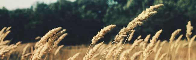 短信电话免费轰炸网站